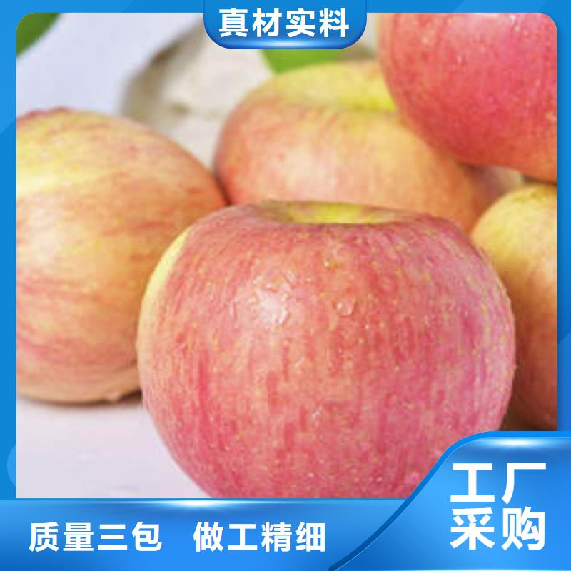 【红富士苹果】苹果种植基地用好材做好产品
