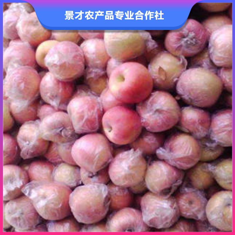 红富士苹果今年新款