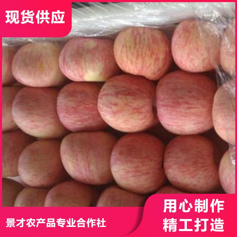 红富士苹果-红富士苹果批发现货销售
