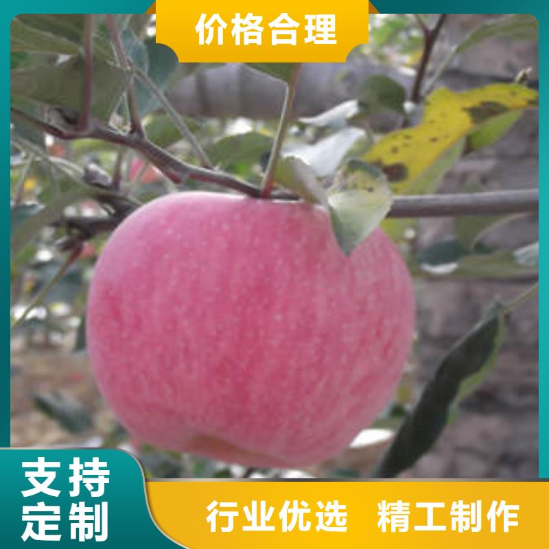 【红富士苹果】_苹果
使用寿命长久