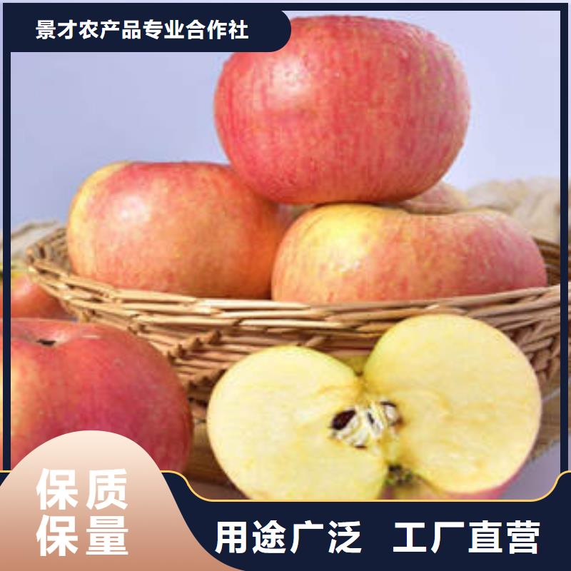 红富士苹果今年新款