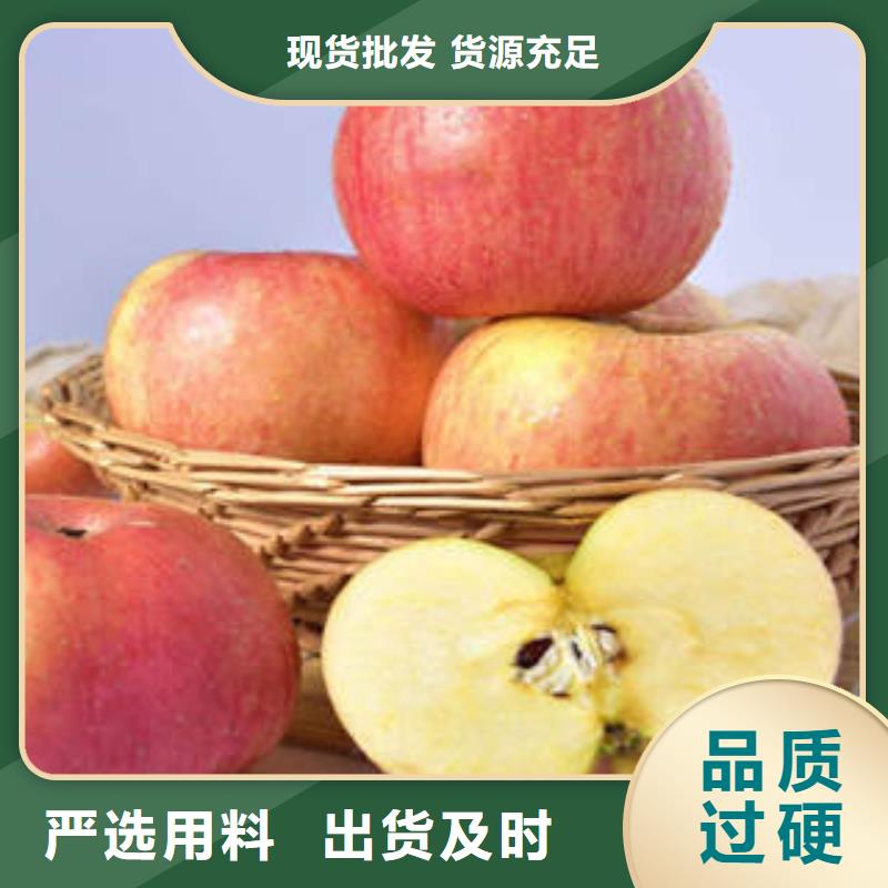 红富士苹果嘎啦苹果货源稳定