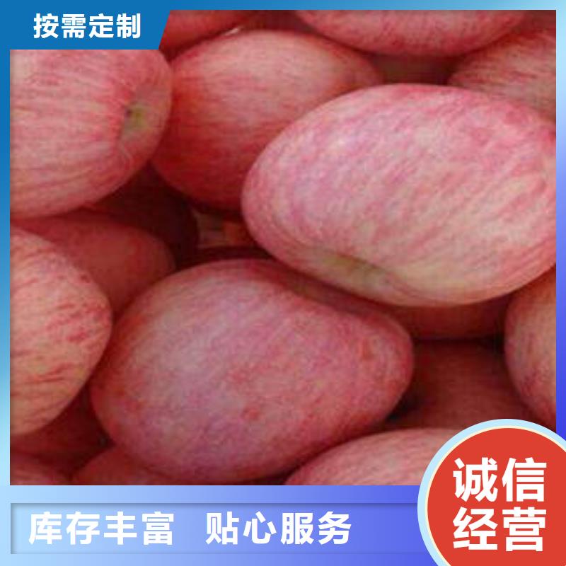 红富士苹果苹果源头实体厂商