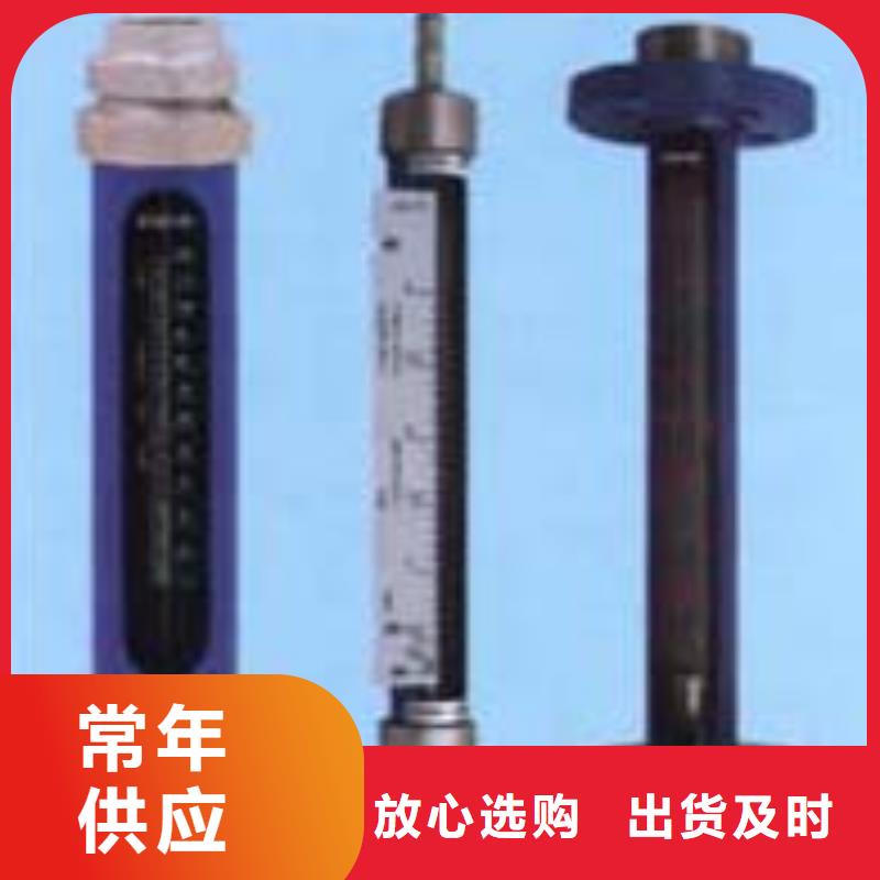 G10浮子流量计货真价实