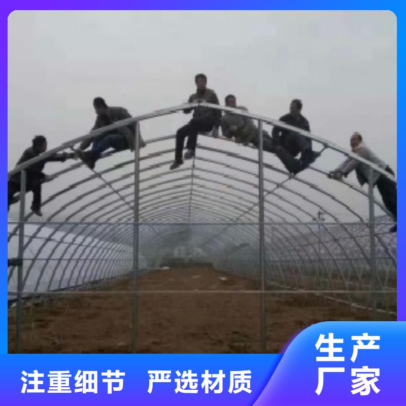 大棚管Q345E无缝钢管货到付款
