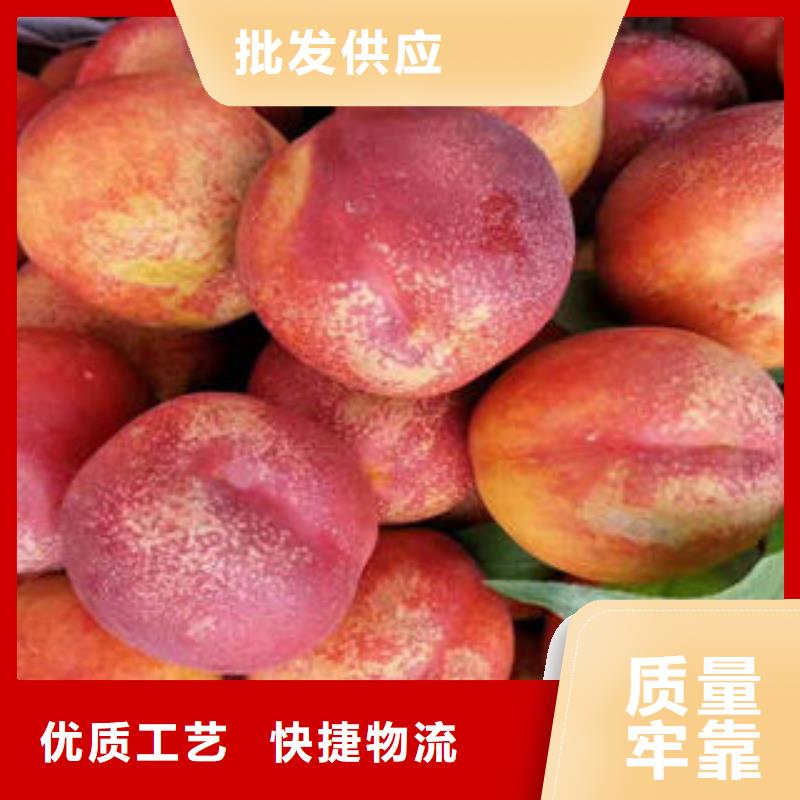 桃树苗源头厂家来图定制