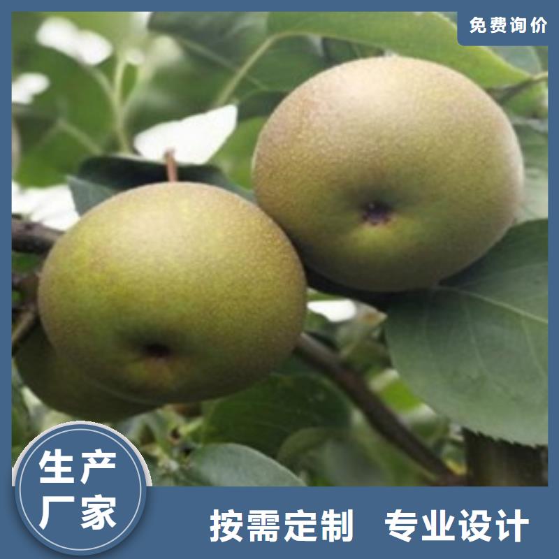梨树苗_花椒苗0中间商差价