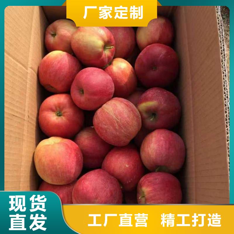 【苹果苗山楂苗源头厂家来图定制】