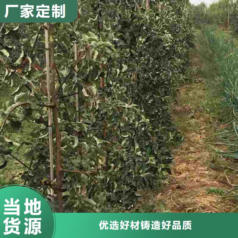 苹果苗质量三包