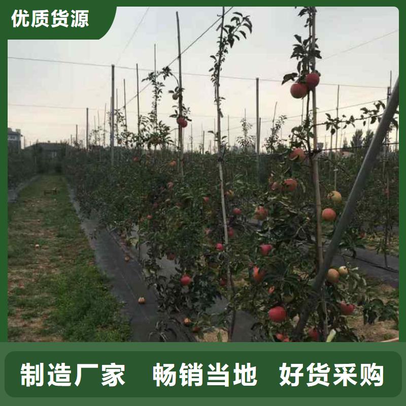 苹果苗,桃树苗拒绝差价