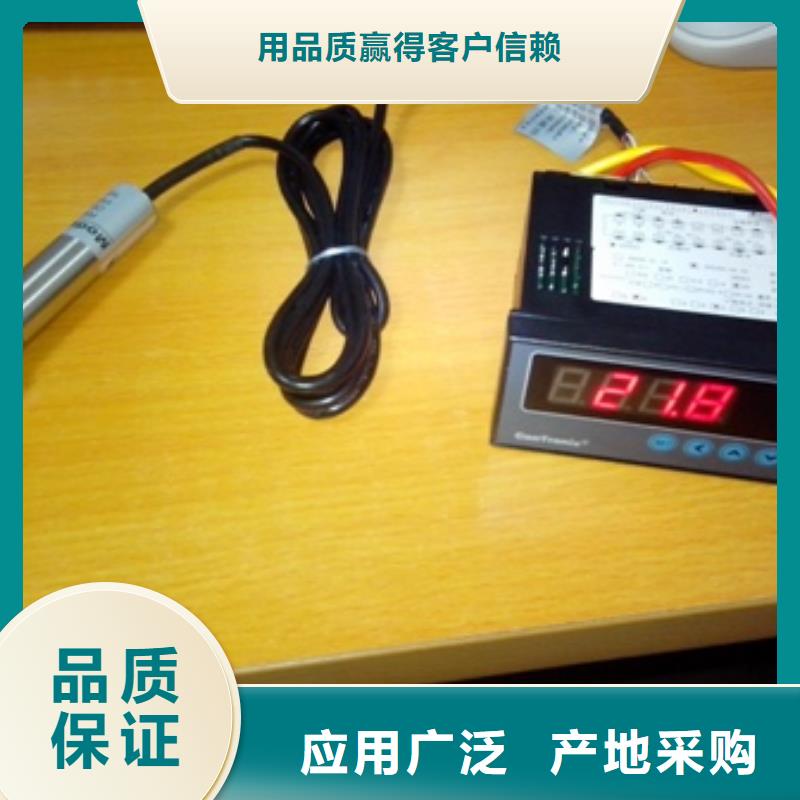 IRTP300L【红外探头】定制批发