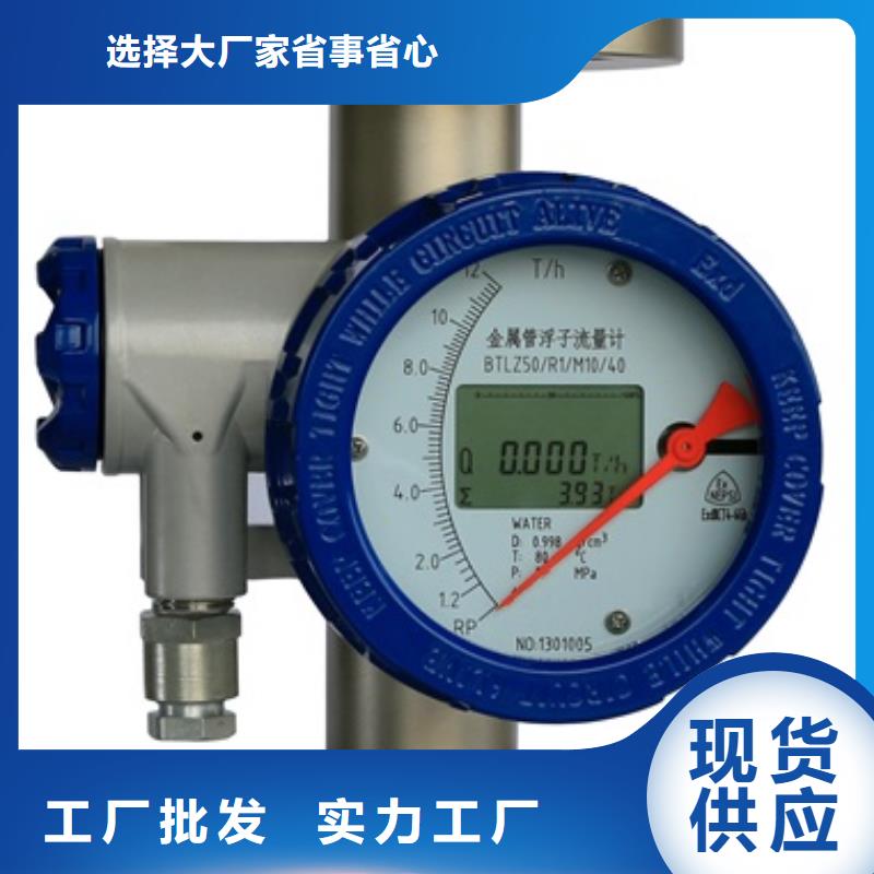 内衬PTFE金属转子流量计吹扫装置质检合格出厂