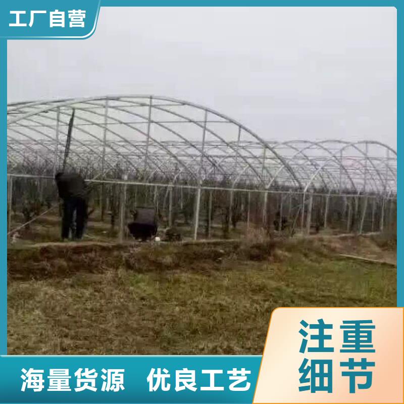 镀锌管材【热镀锌角钢】口碑好实力强