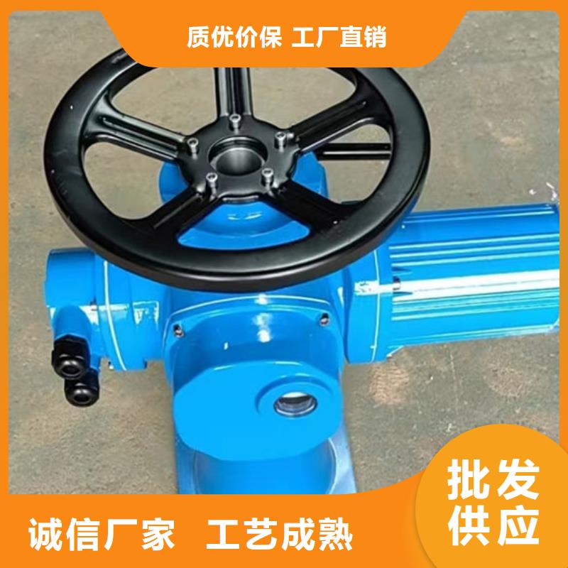 螺杆式启闭机,斜拉式启闭机客户好评