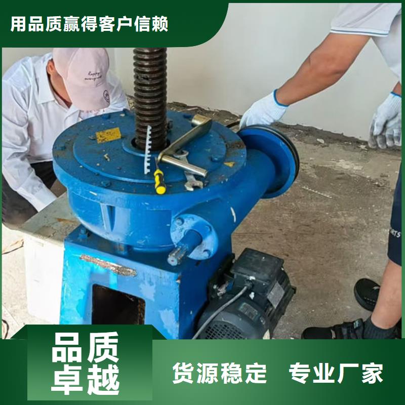 螺杆式启闭机斜拉式启闭机实力见证