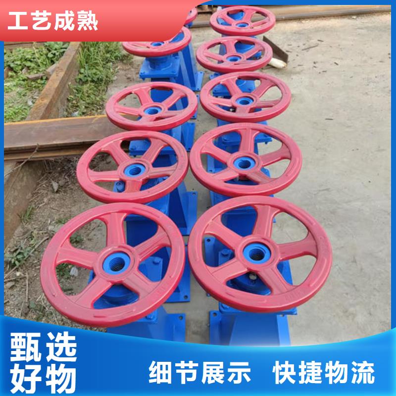 螺杆式启闭机,斜拉式启闭机大厂生产品质