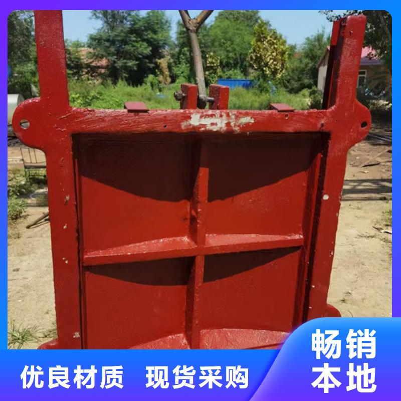 铸铁闸门_手提铸铁闸门精益求精