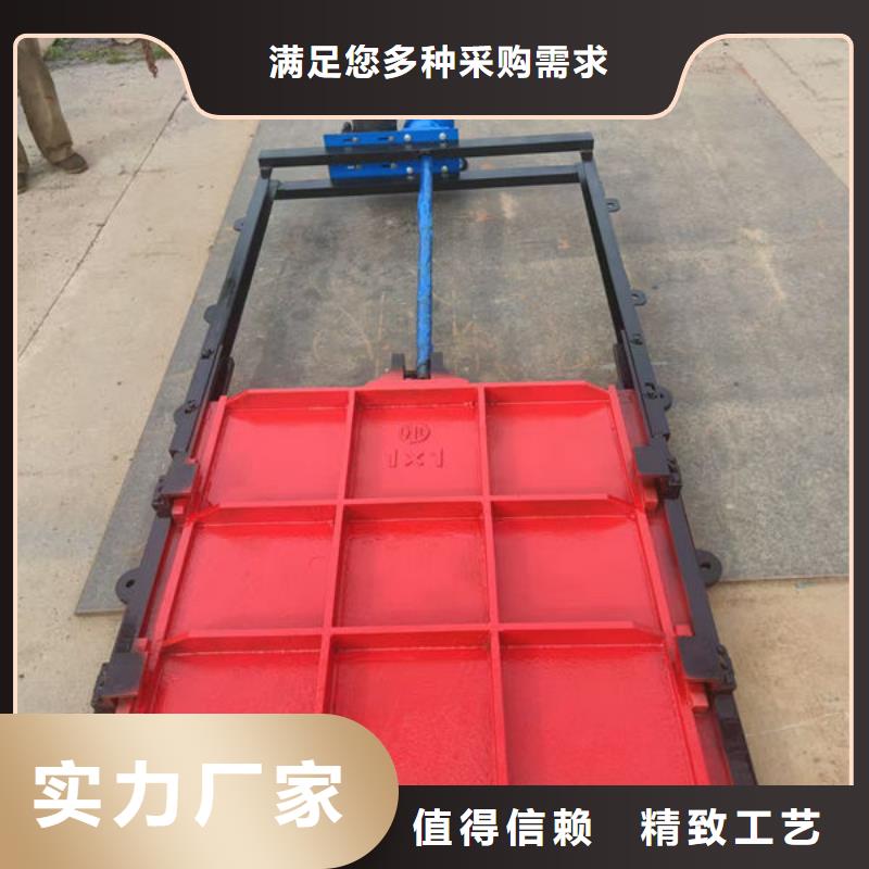 铸铁闸门泵站铸铁闸门出厂严格质检