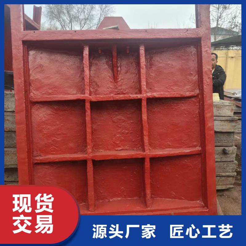铸铁闸门_手提铸铁闸门精益求精