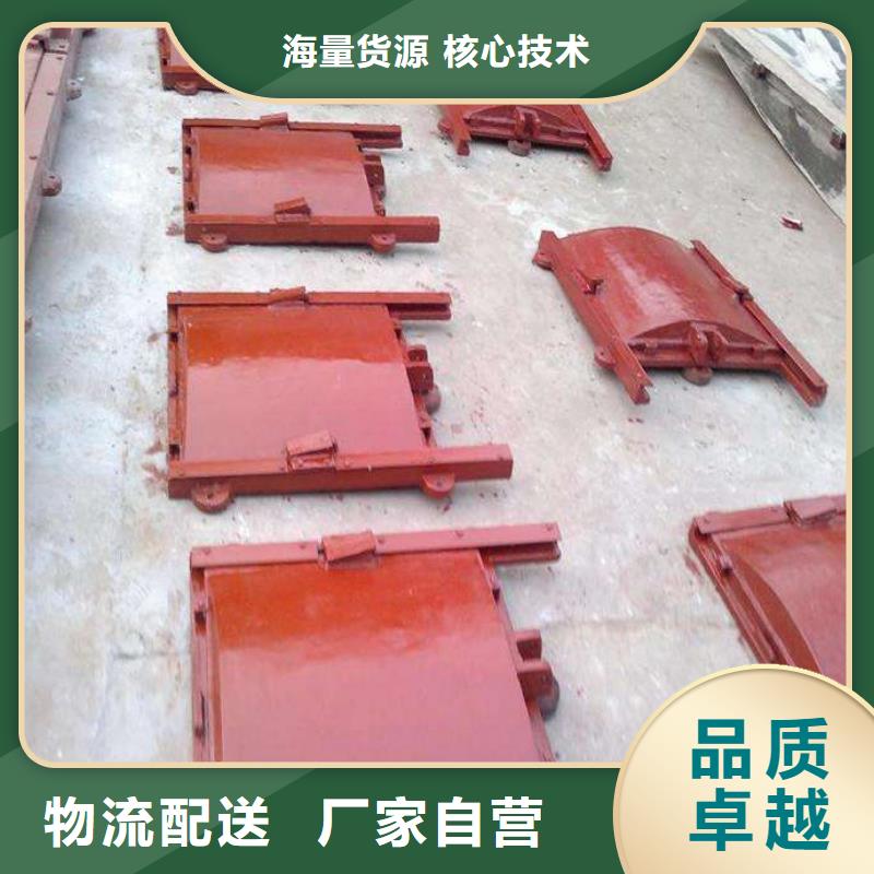 铸铁闸门,暗杆式铸铁闸门品质做服务