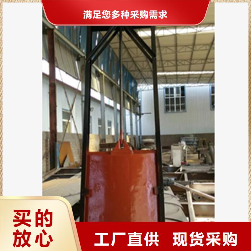 铸铁闸门,机闸一体式铸铁闸门产地源头好货