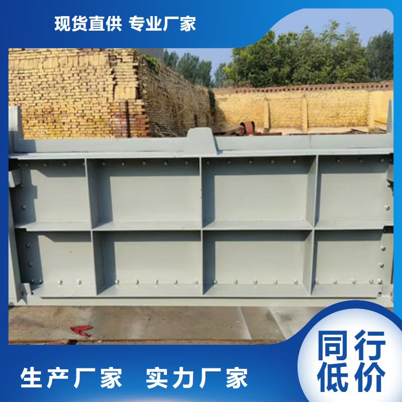 钢坝闸门平板钢闸门经验丰富品质可靠