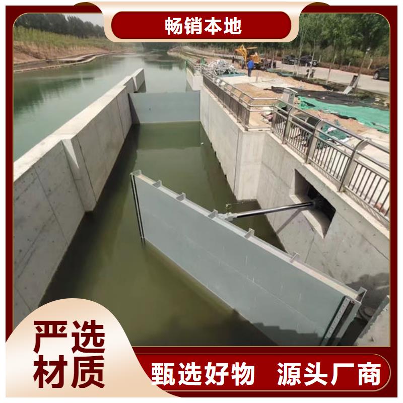 钢坝闸门泵站上卧式闸门品质保证