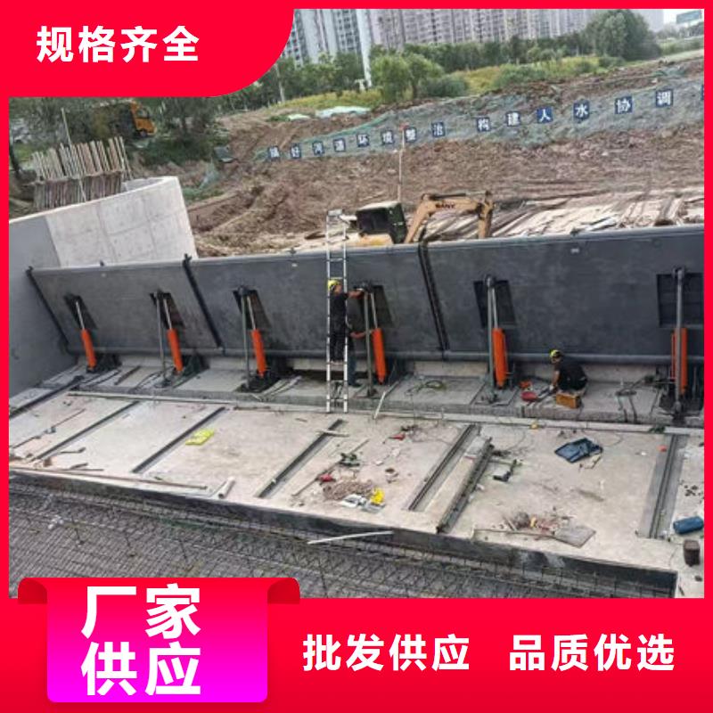 钢坝闸门合页钢坝快速报价