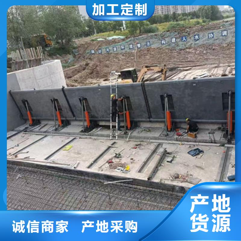 钢坝闸门,泵站上卧式闸门诚信为本