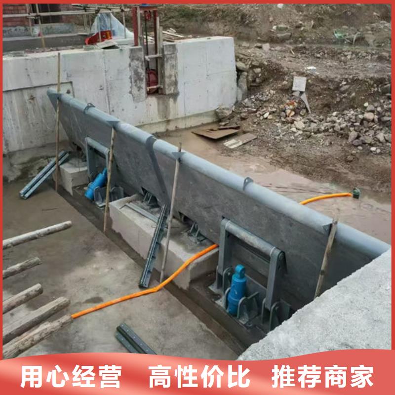 钢坝闸门平板钢闸门经验丰富品质可靠