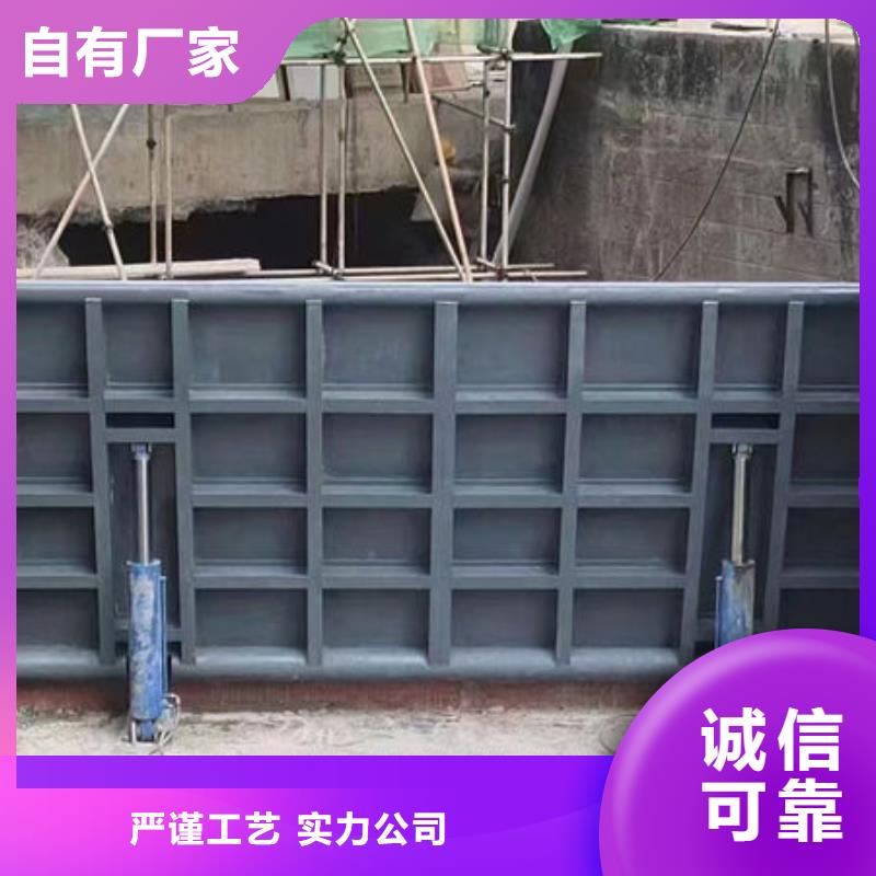 钢坝闸门合页钢坝快速报价