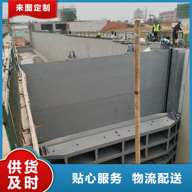 钢坝闸门,自动抓梁经验丰富质量放心
