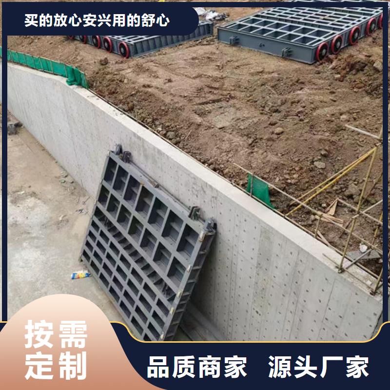 钢坝闸门,泵站上卧式闸门诚信为本