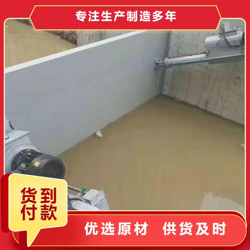 钢坝闸门平板钢闸门经验丰富品质可靠