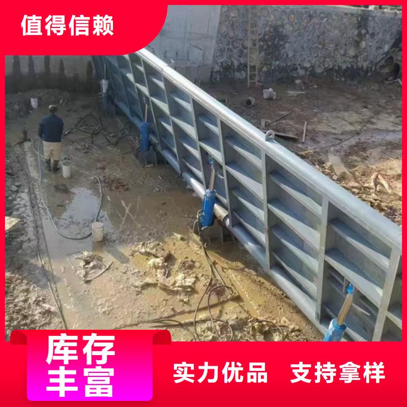 钢坝闸门,自动抓梁经验丰富质量放心