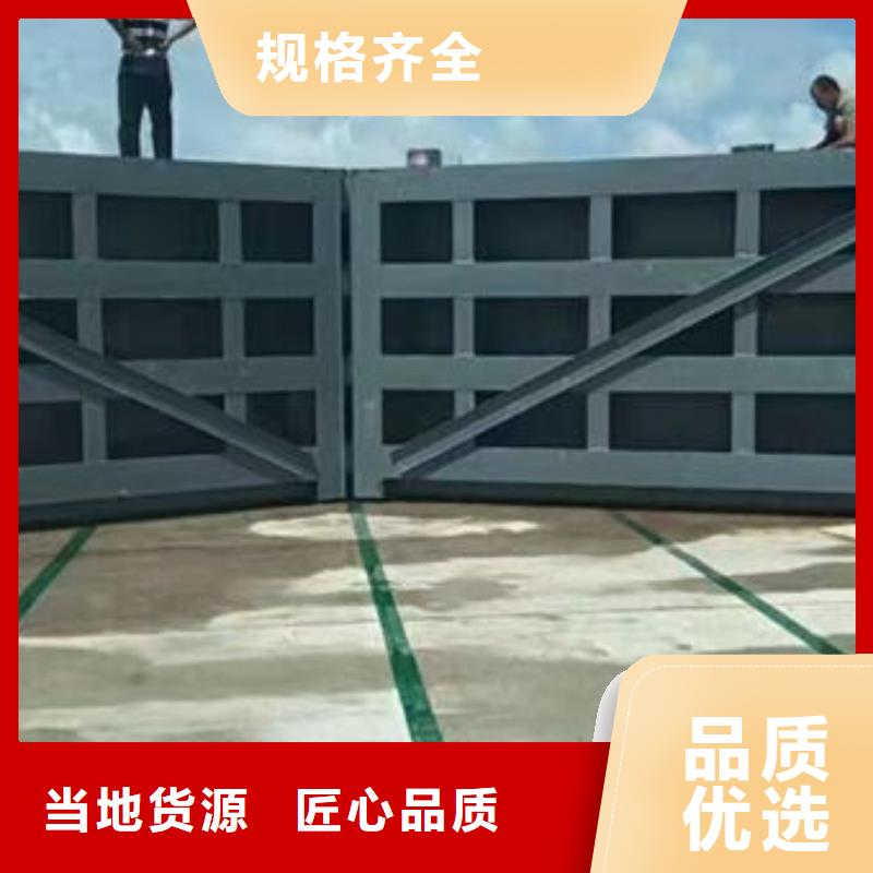钢坝闸门,自动抓梁经验丰富质量放心