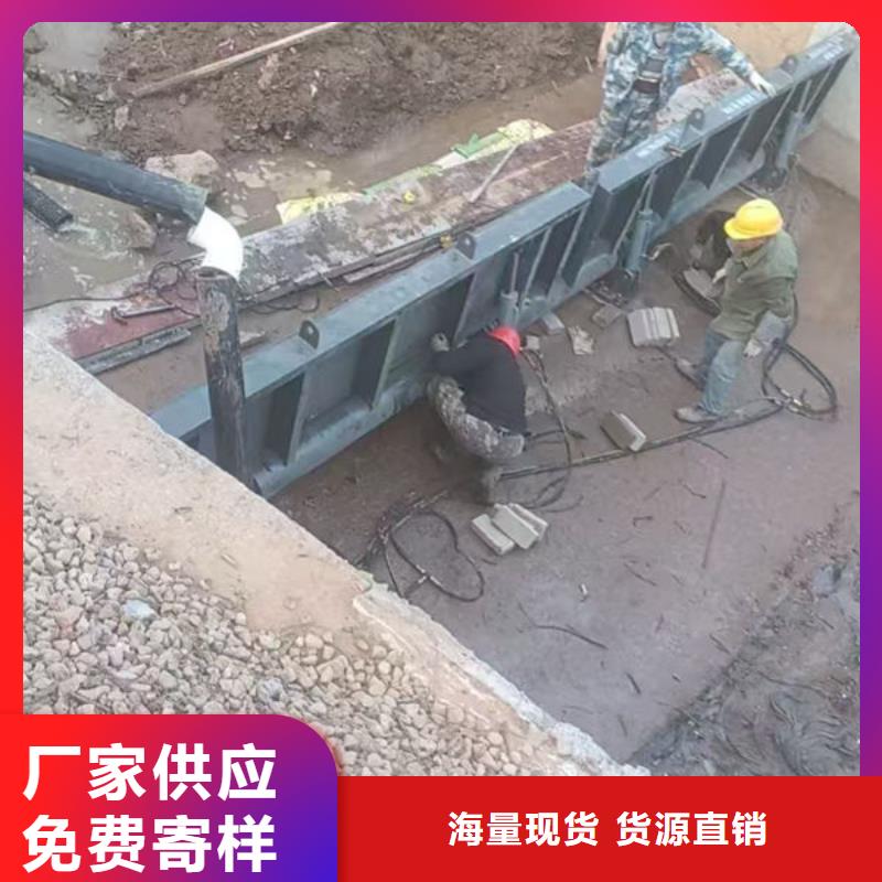 钢坝闸门,自动抓梁经验丰富质量放心