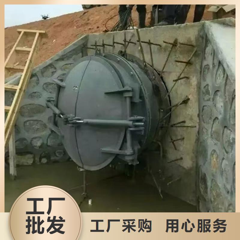 拍门圆拍门采购