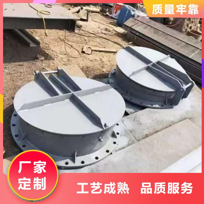 拍门防倒灌拍门厂家技术完善