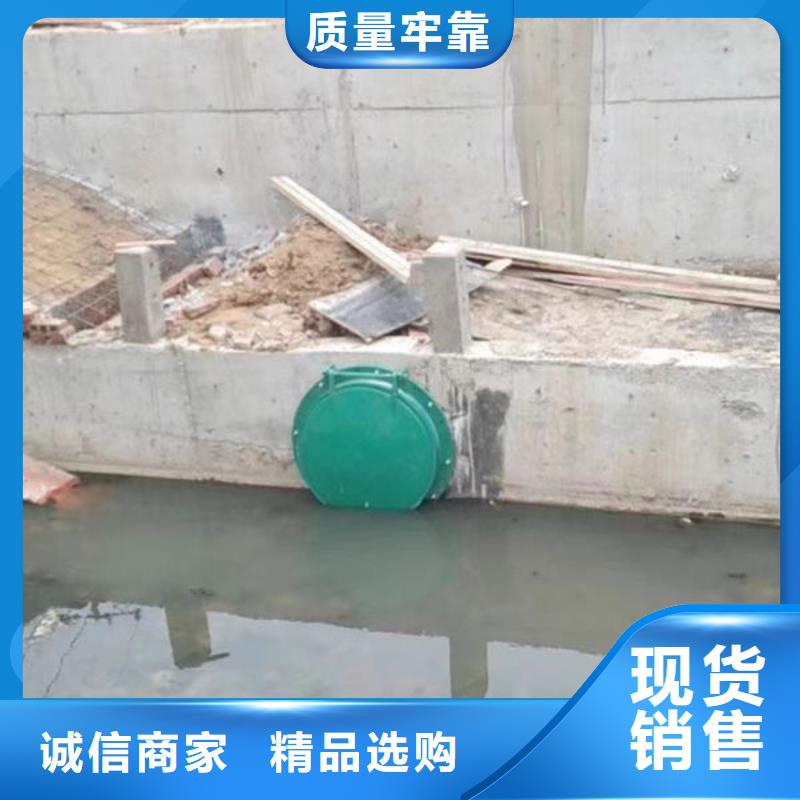 拍门,圆拍门专业的生产厂家