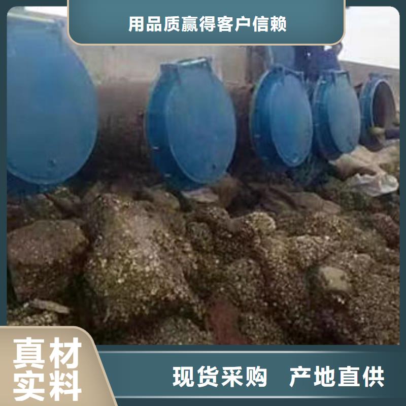 拍门不锈钢拍门品牌专营