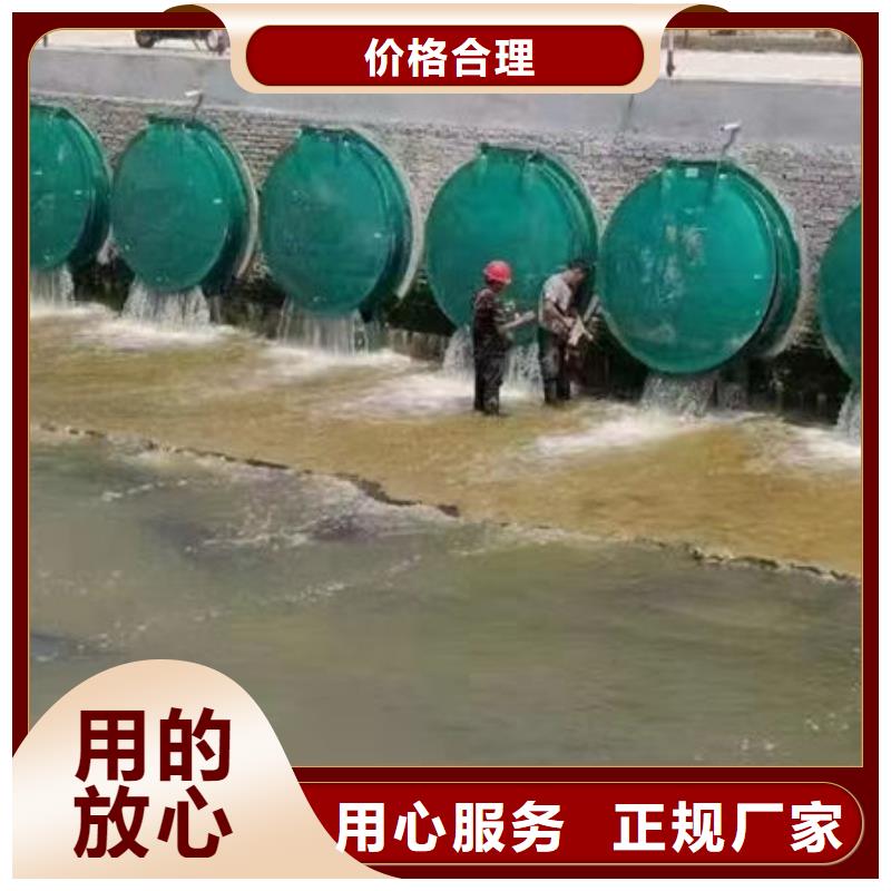 拍门_铸铁拍门厂家