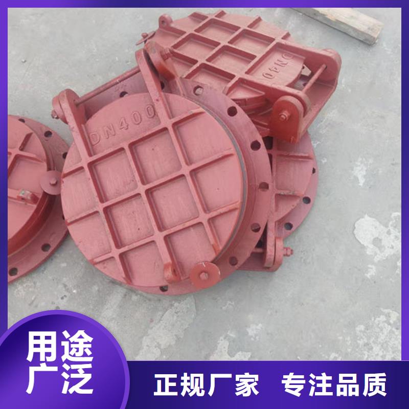 拍门_铸铁拍门厂家