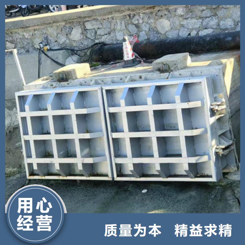 拍门复合材料拍门详细参数