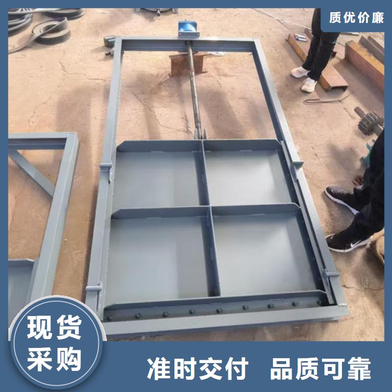 不锈钢闸门,双止水不锈钢闸门实力派厂家