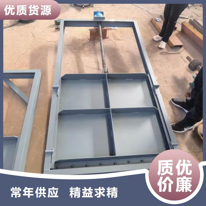 不锈钢闸门,双止水不锈钢闸门自主研发