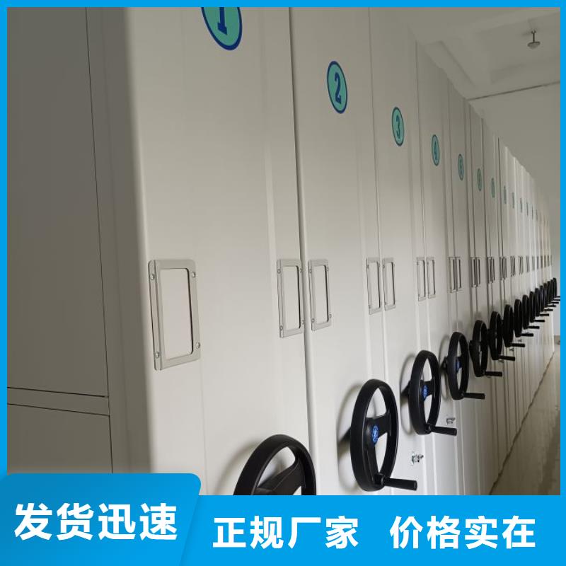 销售厂家【隆顺】橱式密集架