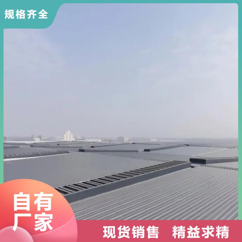 消防排烟天窗质优价廉