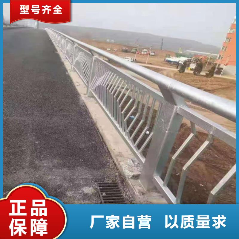 桥梁护栏实力厂家