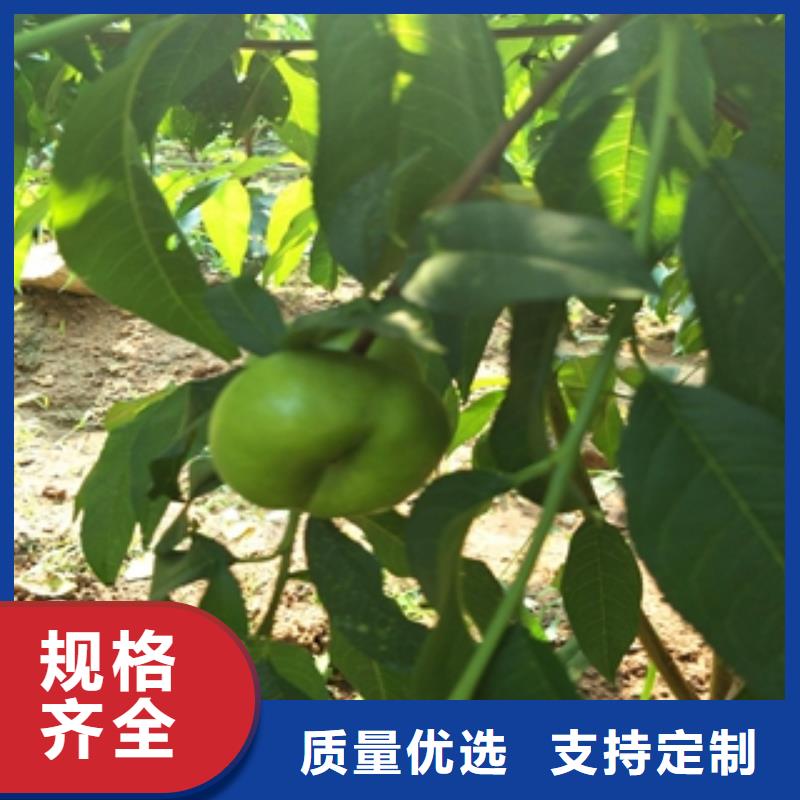桃树国槐严选材质